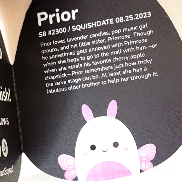 🖤 PRIMROSE & PRIOR 🦋🐛 White & Pink Velvet Moth & Caterpillar Select Series - Picture 5 of 14